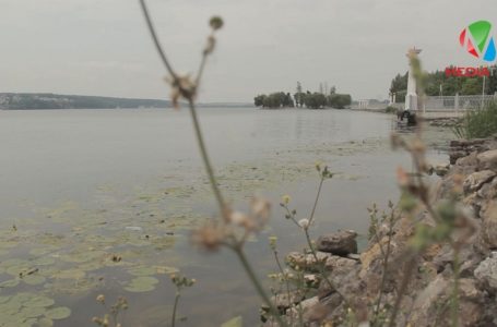 Вперше за 40 років тернопільський став почистять (Відео)