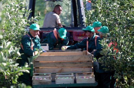 Тернополяни у Польщі працюватимуть за новими правилами