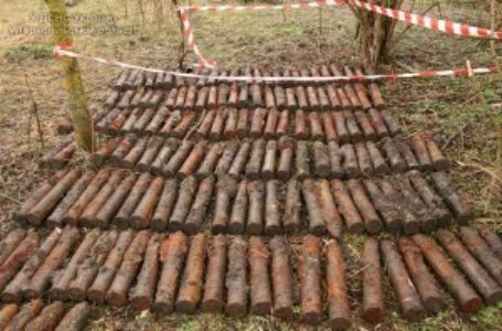 На Тернопільщині знешкодили майже півсотні боєприпасів