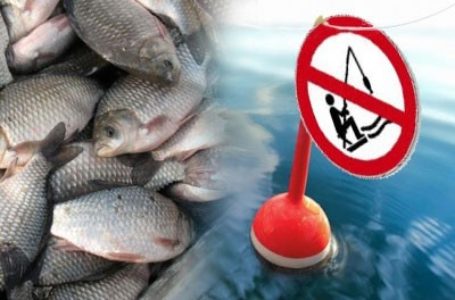 Півсотні водних об’єктів Тернопільщини з листопада закриті для рибалок