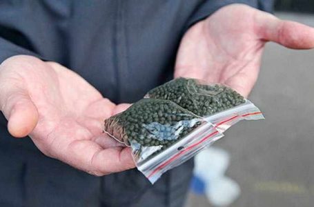 У тернопільського школяра нацгвардійці знайшли насвай