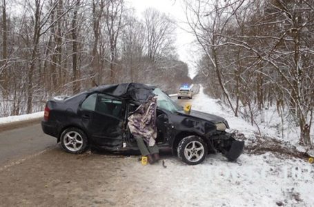 Поблизу Півдолочиська водій Skoda Fabia в’їхав в древо. Пасажир загинув