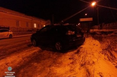 Нетверезий водій збив подружжя на зупинці громадського транспорту