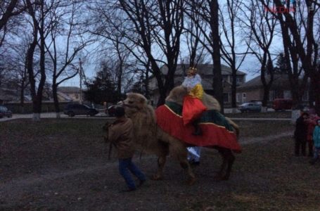 Миколай на верблюді. Циркова тварина таки залишилася у Хоросткові (Фото)