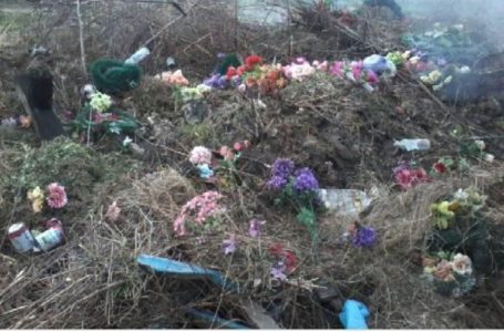 Тернополян просять не купувати штучні квіти та пропонують альтернативу