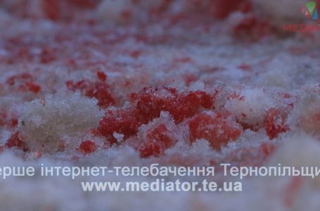 Нападника на Ігоря Турського викликають до суду