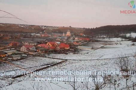 На Тернопільщині прокуратура вимагає повернути державі землю площею 82 гектари 
