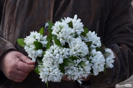На Тернопільщині за продаж підсніжників жінка сплатить 26 тисяч гривень штрафу