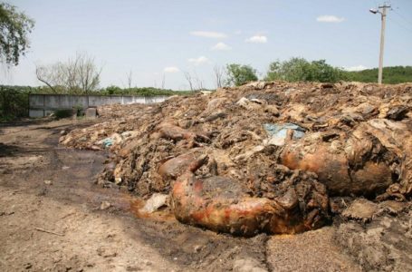 На Тернопільщині рештки тварин тоннами лежать під відкритим небом