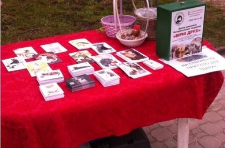 Тернопільські зоозахисники просять бути милосердними до тварин