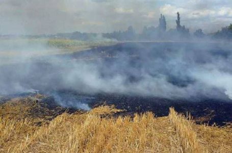 На Тернопільщині знайшли обголірий труп чоловіка