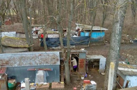 На Тернопільщині парк перетворили у ферму і сміттєзвалище