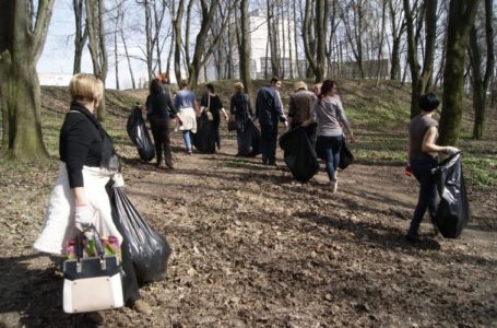 Понад 2 тисячі тернополян взяли участь у загальноміській толоці