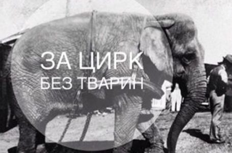 Тернополяни голосують за заборону пересувних цирків з тваринами