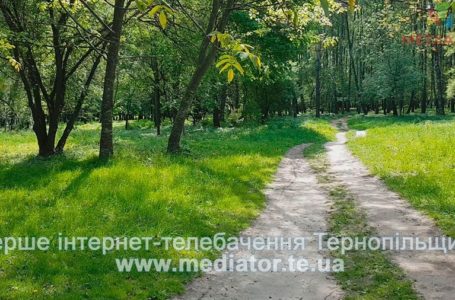 Вночі у тернопільському парку колишній побив дівчину