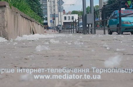 У  Тернополі через пух з дерев страждають алергіки (Відео)