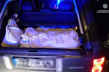 Майже 200 кілограмів бурштину виявили патрульні в автівці тернополянина