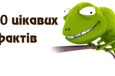 Десять звичайних речей, над значенням яких Ви не замислювалися