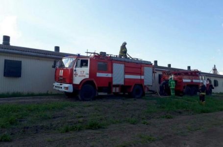 На Тернопільщині горіла птахофабрика із 40 тисячами курей