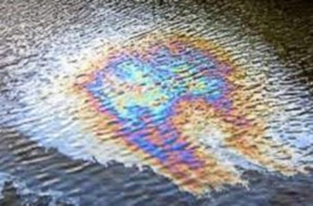 На Тернопільському ставі з’явилися нафтові плями