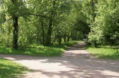 У Тернополі в Парку Слави напали на тернополянина
