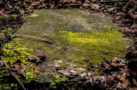 Біля Тернополя знайшли могилу закоханих, похованих заживо