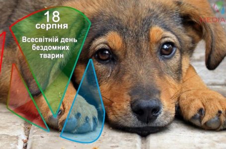 18 серпня – Всесвітній день бездомних тварин