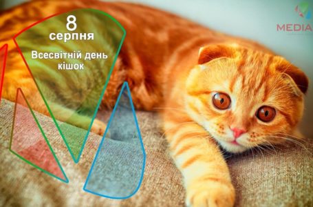 На Тернопільщині сильний вітер повалив теплиці та дахи (Фото)