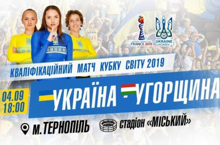 На Тернопільщині ДТП: металевий відбійник проткнув іномарку наскрізь
