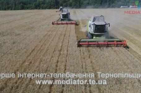 “Щоб небо над полями було мирним”, – працівники Агрохолдингу про Незалежності та мрії