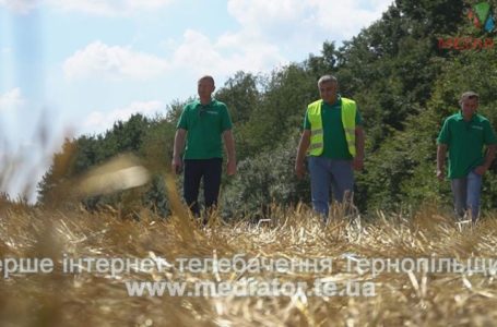 “Щоб негаразди обминали кожну українську сім’ю”, – працівники Агрохолдингу про Незалежності та мрії