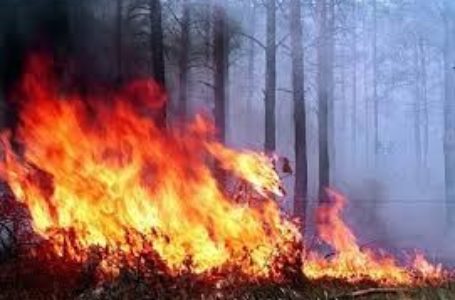 На Тернопільщині оголосили надзвичайну пожежну небезпеку