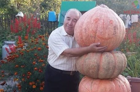Чоловік на Тернопільщині зліпив «гарбузову бабу» (Фото)