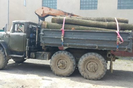 На Монастирищині затримали вантажівку з дубами, які вивозили як “дрова”