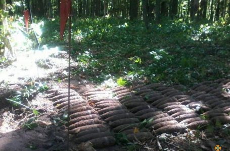 На Шумщині посеред лісосмуги знайшли 350 боєприпасів