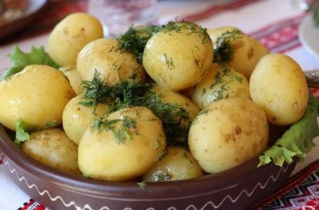 Жителям Тернопільщини радять робити запаси картоплі