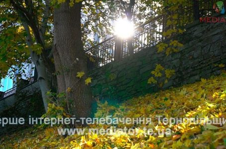 На Тернопільщину прийшло останнє бабине літо з дощами