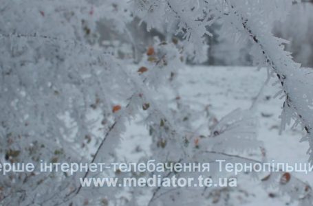 На Тернопільщині передбачають до 17-ти градусів морозу