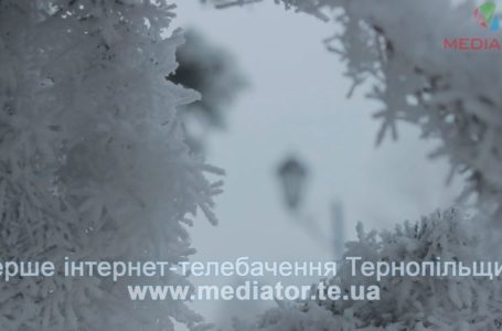 На Тернопільщині передбачають штормові вітри