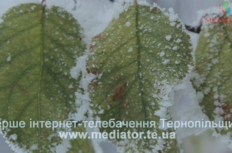 На Тернопільщині передбачають дуже складні погодні умови
