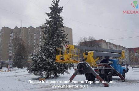 На бульварі Д.Галицького встановлюють новорічну ялинку