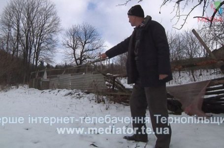 Боротьба з вовком. На Тернопільщині мисливці полюють на хижаків, бо ті нападають на людей (Відео)