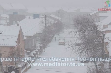 Двори і тротуари у Тернополі засипало снігом