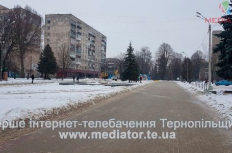 25 одиниць спецтехніки розчищали тернопільські автошляхи