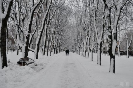 Тернопільщина зустріне Різдво з морозами і снігопадами