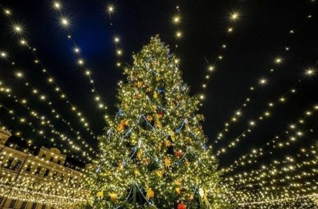 На Тернопільщині обікрали новорічну ялинку