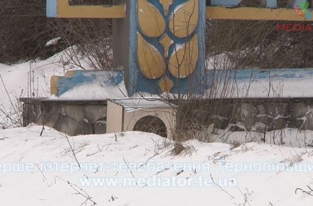 Господар не з’явився, а будку вкрали. Продовження історії Хатіко з Великого Глибочка