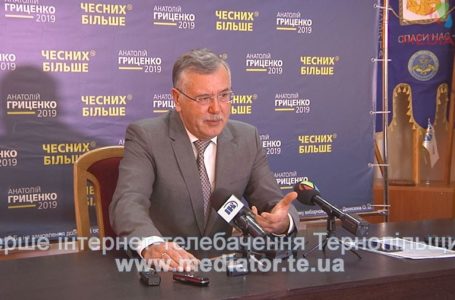 Щорічно через корупцію до держбюджету не надходить 400 мільярдів гривень, – Анатолій Гриценко (Відео)