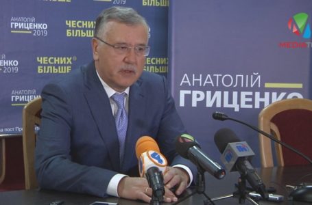 «За п’ять років ми встигнемо виконати усі пункти програми», – Анатолій Гриценко