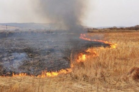Паліїв сухої рослинності штрафуватимуть на десятки тисяч гривень